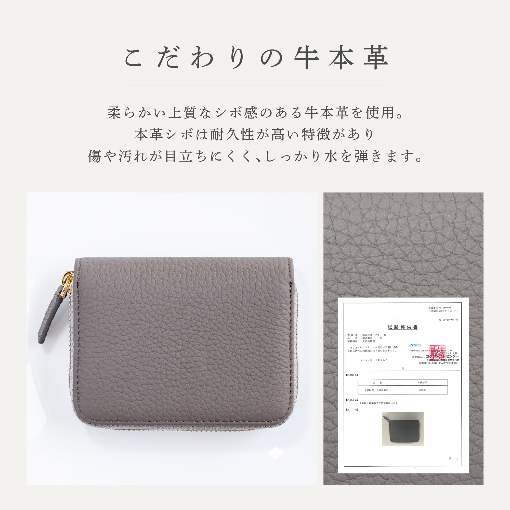 お札が折れない 本革ミニ財布 レディース スキミング防止